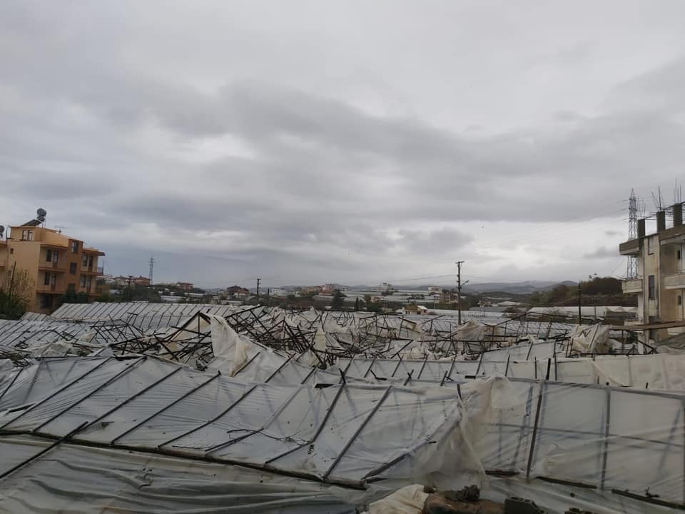 ZARAR 4 79943568 3323096561065297 4041289493657944064 n 6a65d