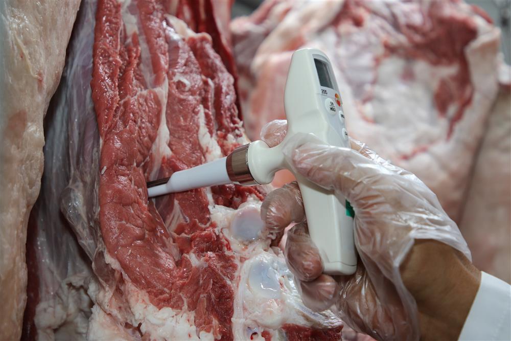 alanya denetim 6 80695568903158080 2bdea