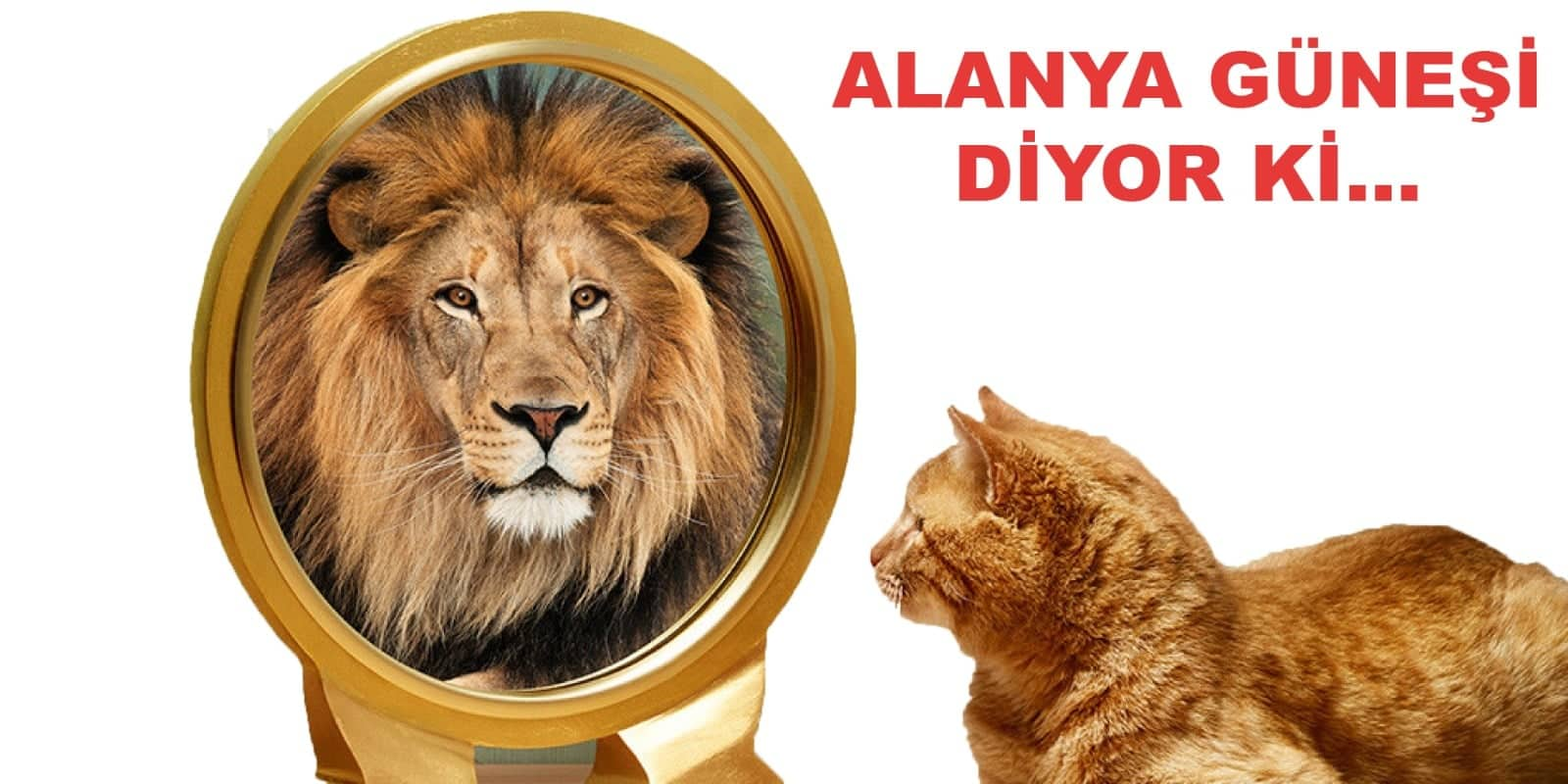 alanya güneşi diyor ki 376d8