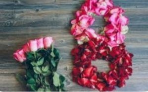 alia 8 mart 2 482291582 645907561424000 4821151087871015762 n 5394e