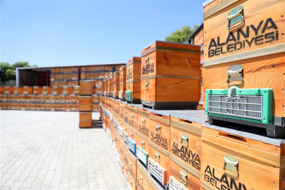 arı kovanı 2 03cb9