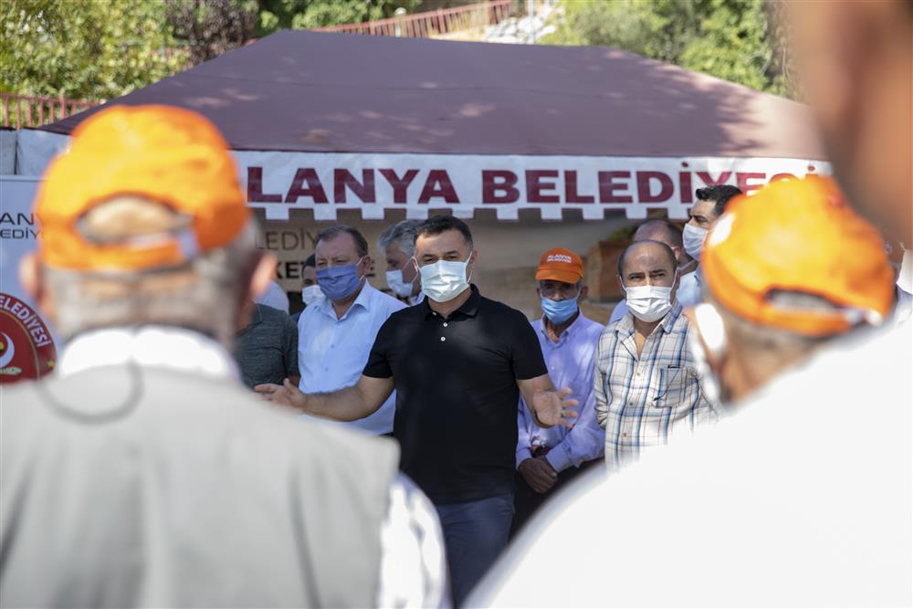 arı kovanı 2 50a12