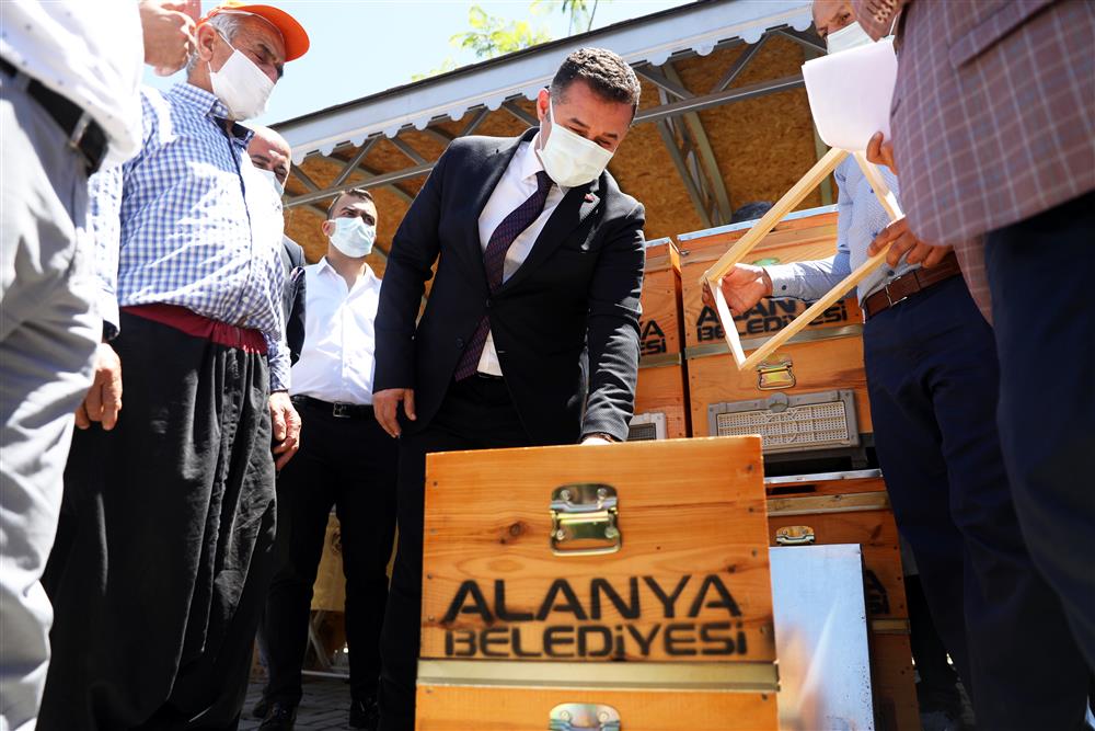 arı kovanı 3 0503c