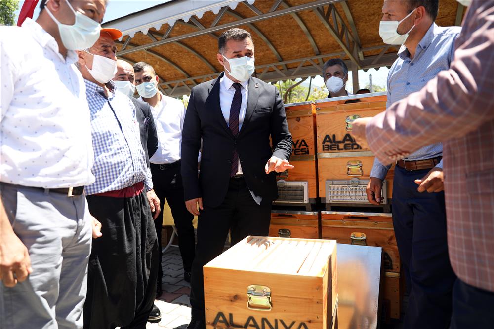 arı kovanı 4 166ec