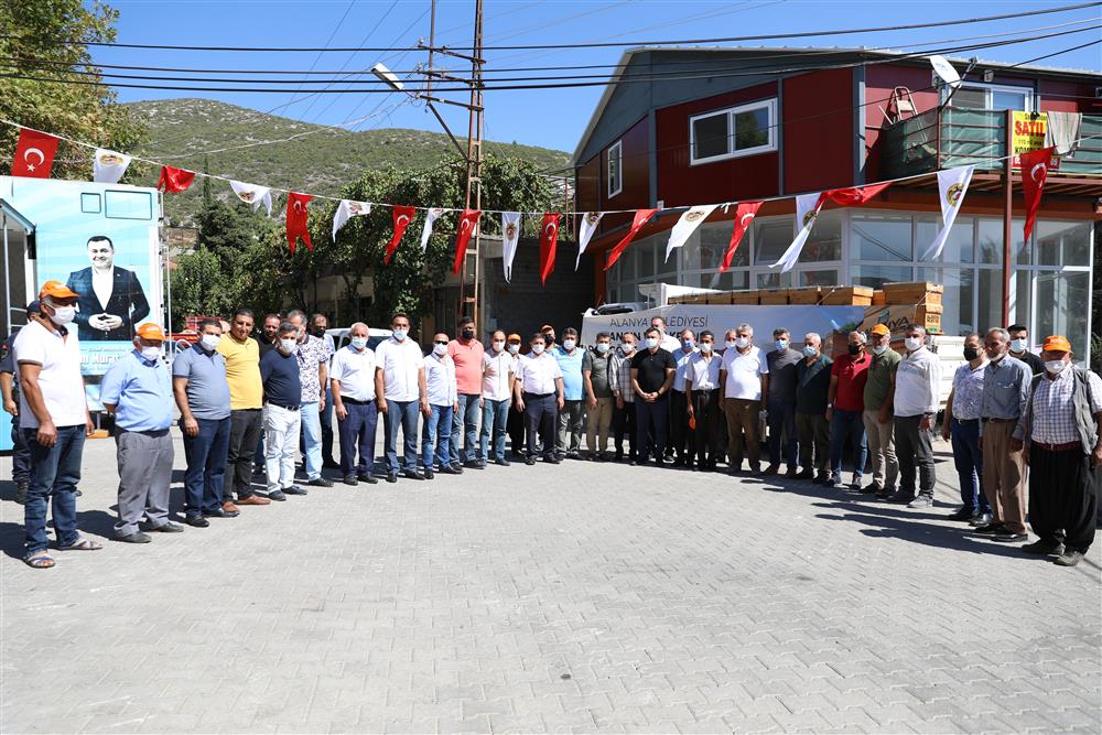 arı kovanı 5 b8358