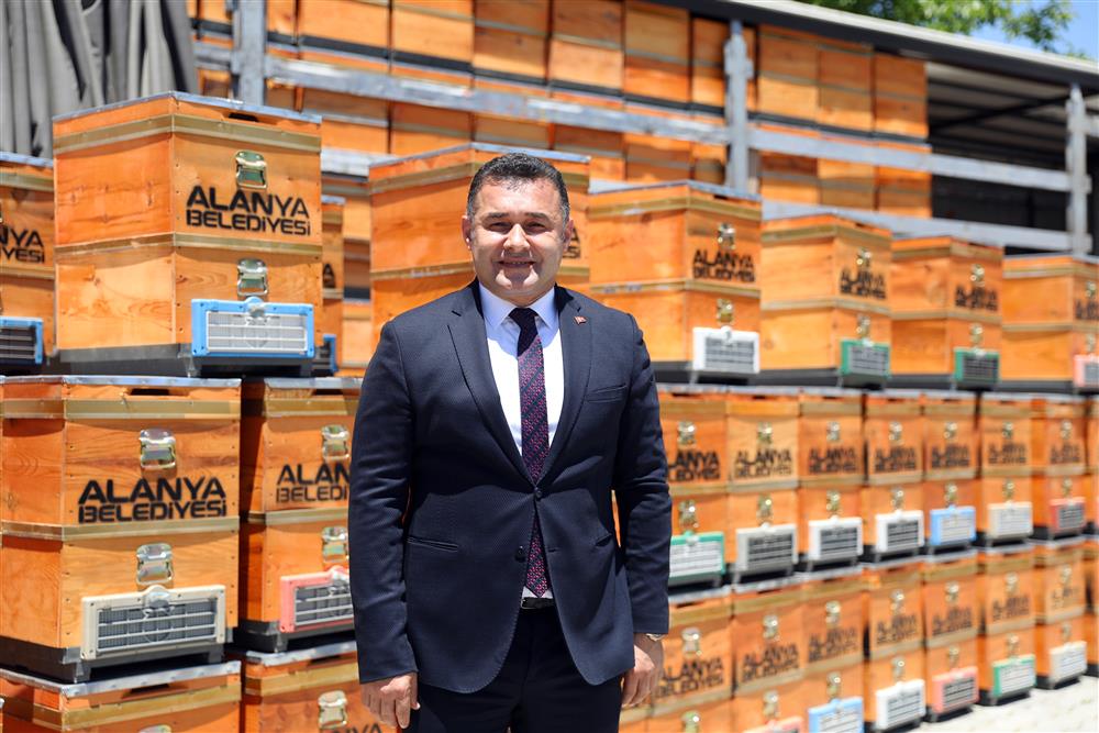 arı kovanı 6 03d7d