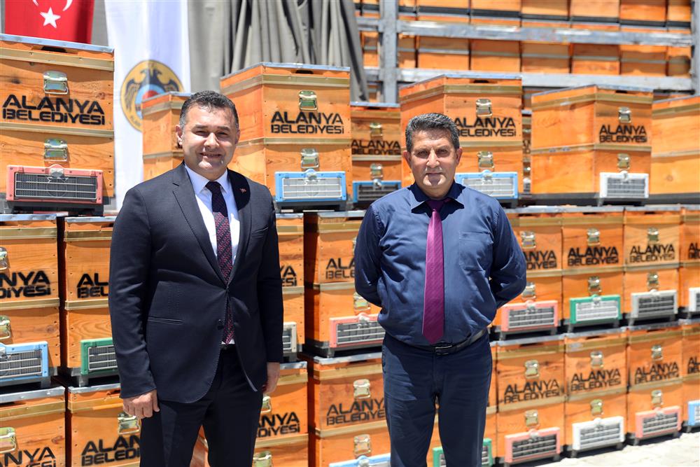 arı kovanı 7 b2bc0