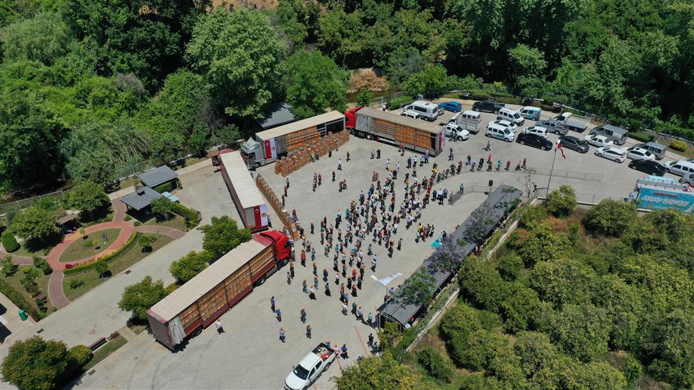 arı kovanı 8 0bb7f