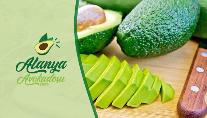 avakadolu foto yarışam 49077