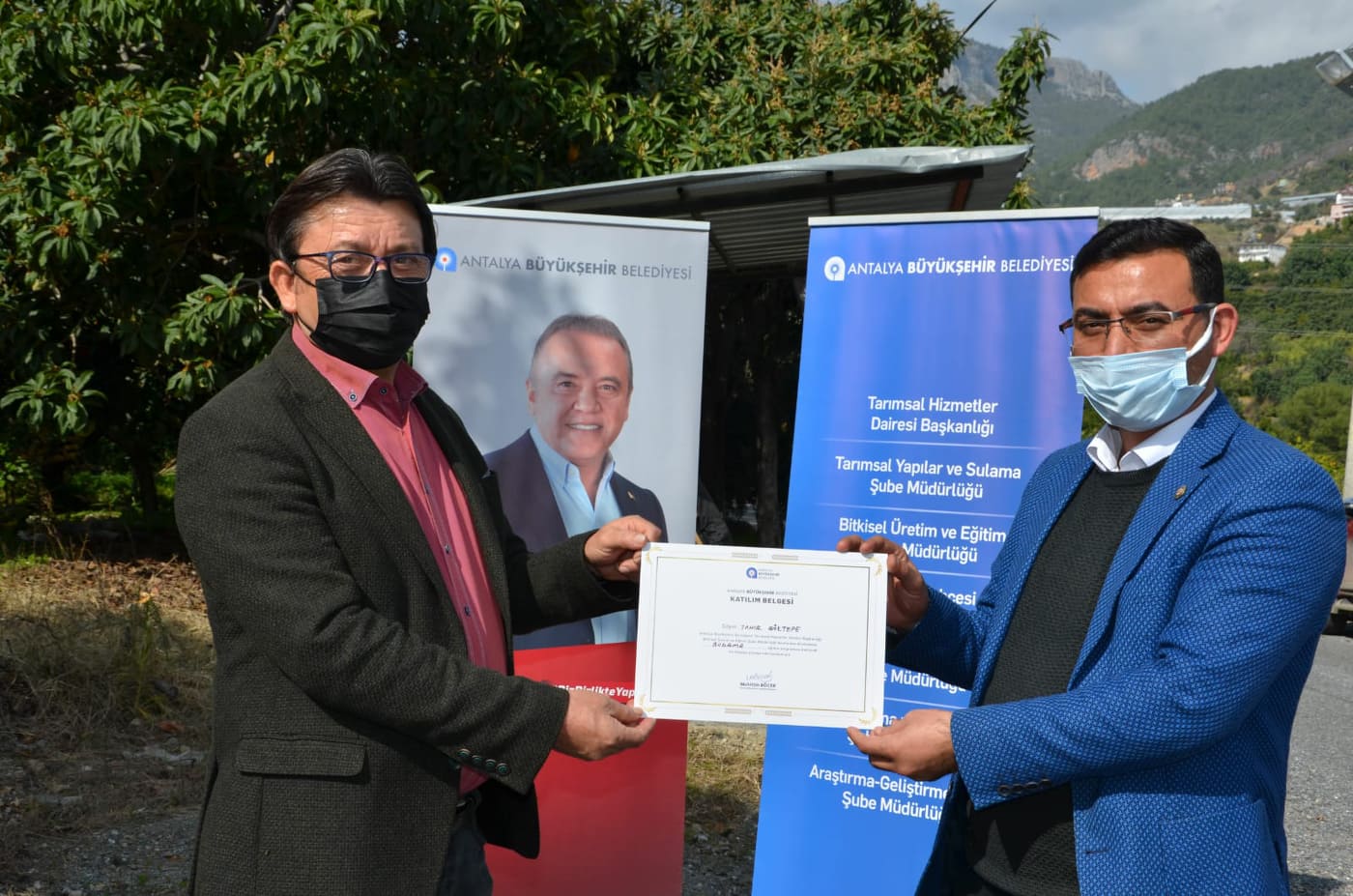 avokado eğitimi 2 7bd2a