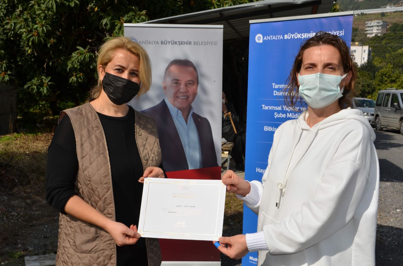 avokado eğitimi 3 7b2f5