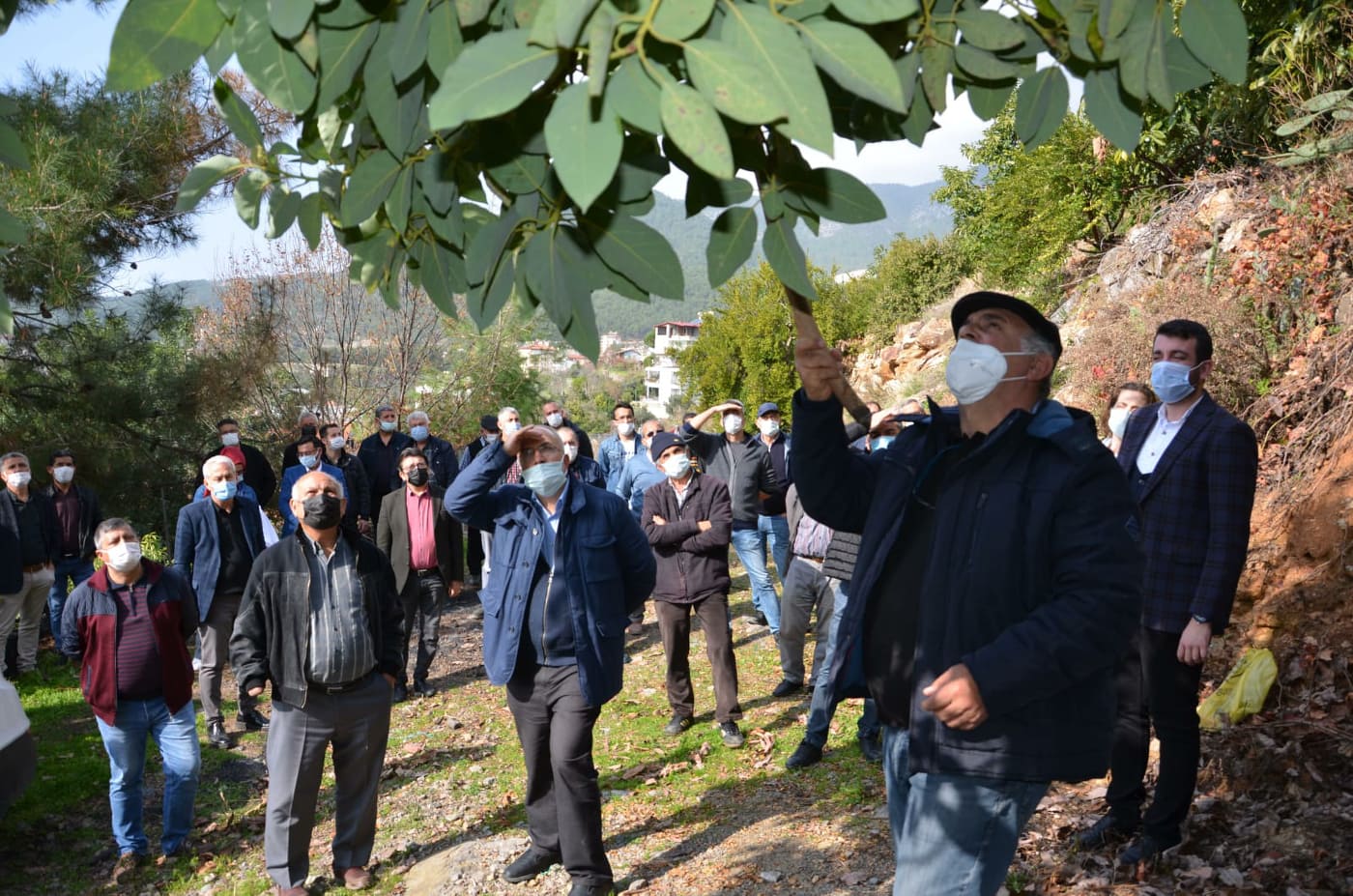avokado eğitimi 4 0369e