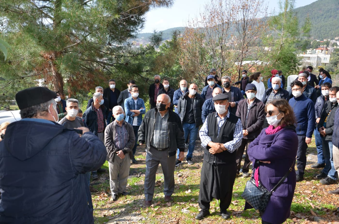 avokado eğitimi 5 6afc0