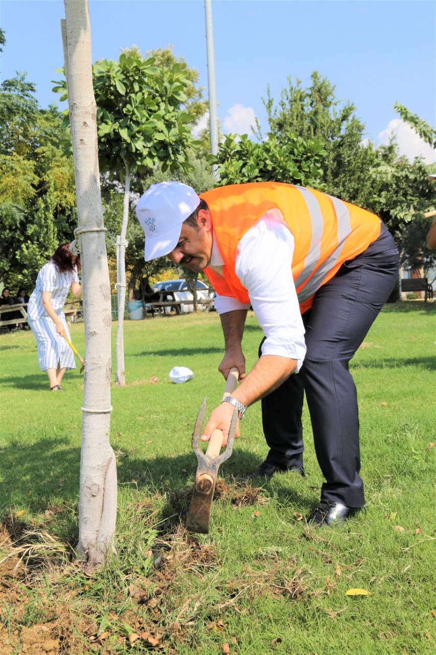 ağaç dikimi 2 thumbnail IMG 4369 96295