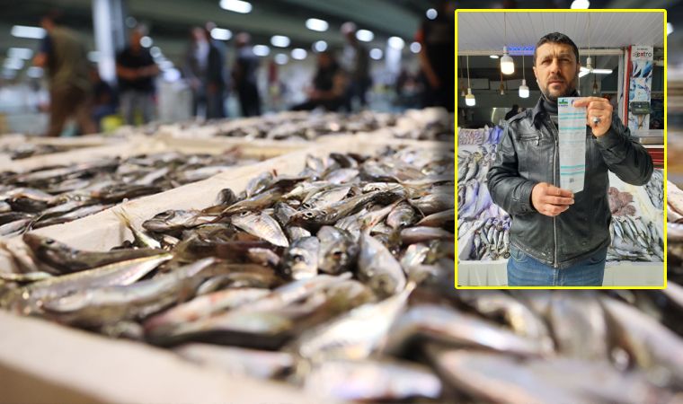 balık hali elektrik isyanı 1 da04b