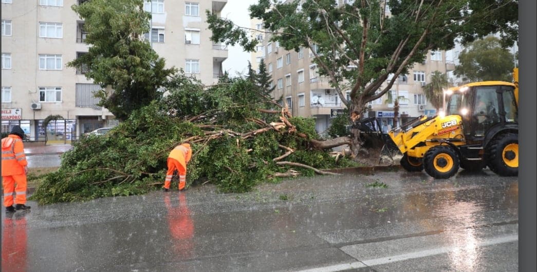 belediye her yerde 3 5bcff