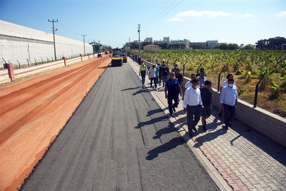 betonyol 5 9f935