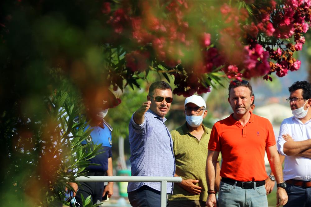 bsklt 3 15743608099984288 3919b