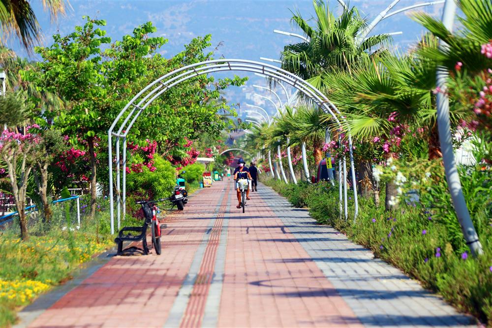 bsklt 4 216688208503313056 547f6