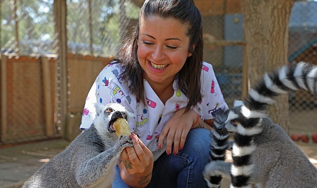 buzlu meyveler 4 05fd2