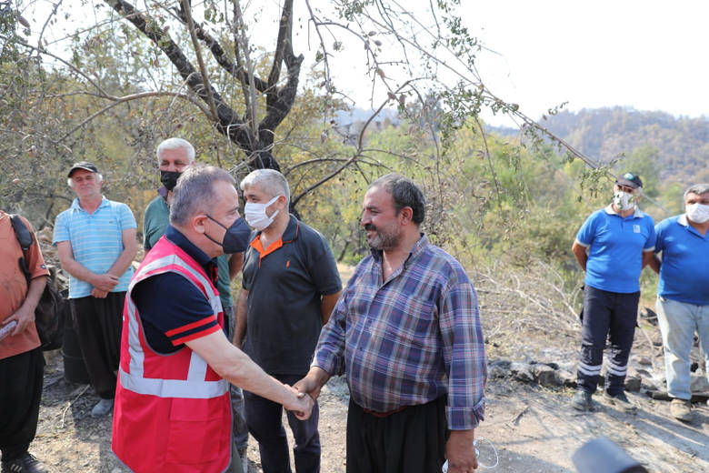 böcek alanya yangın yerinde 6 570e8