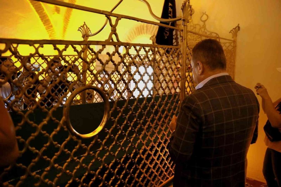 böcek ve serhan asker 3 165cd