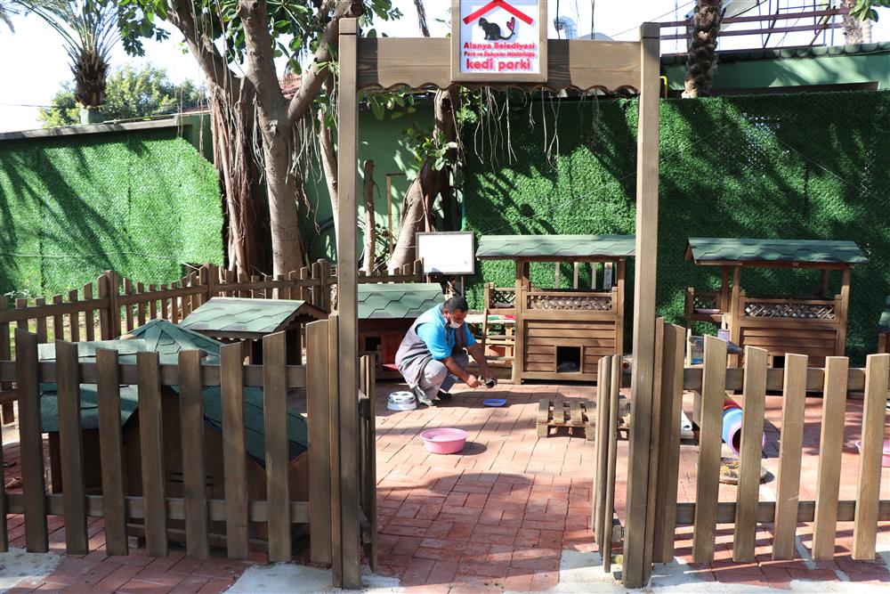 can dostlarımız 2 8eb62