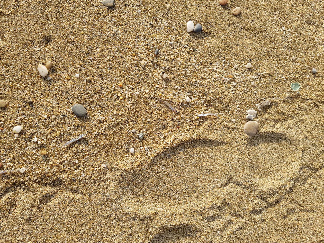 deniz mi çekildi 2 e52a6