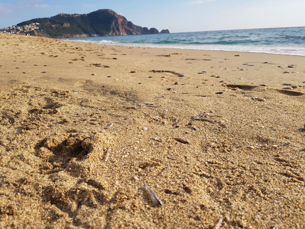 deniz mi çekildi 6 a563b