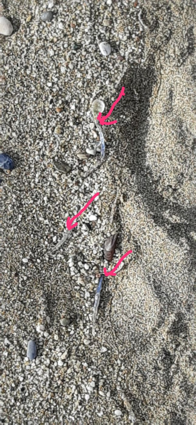 deniz mi çekildi ad223