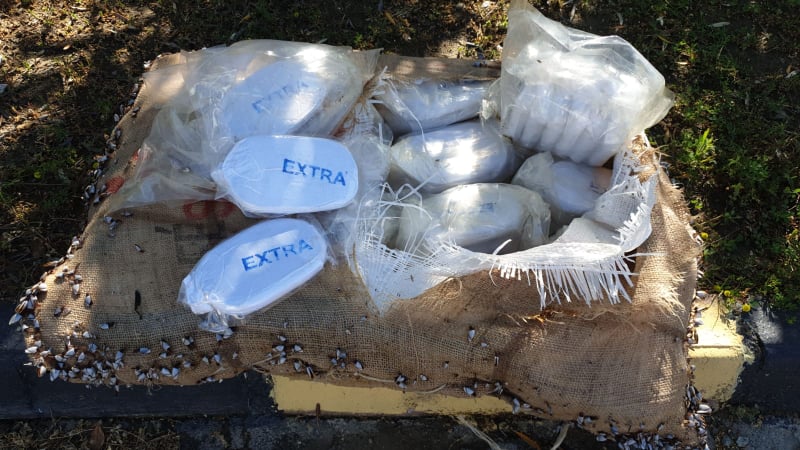 denizde uyuşturucu60213363 626417937822662 2388460858385629184 n d4bbe