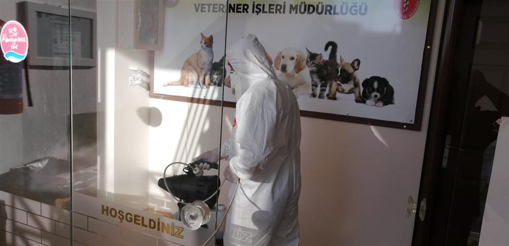 devam 2 102147400497356640 cb913