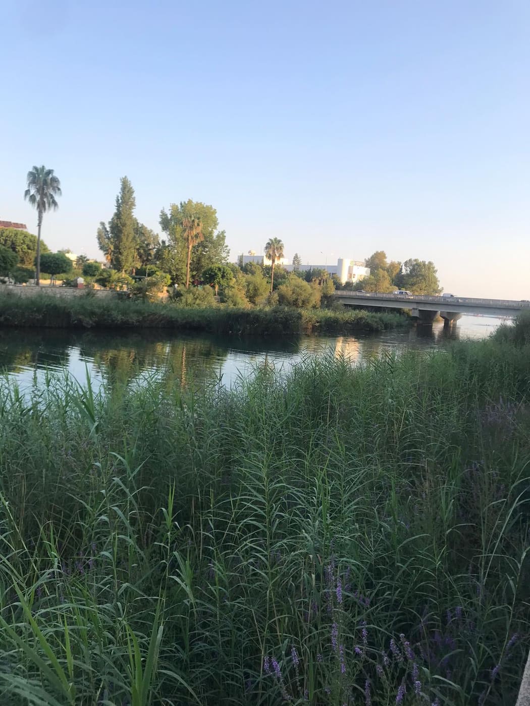 dimçayı girişi 1 b9a44