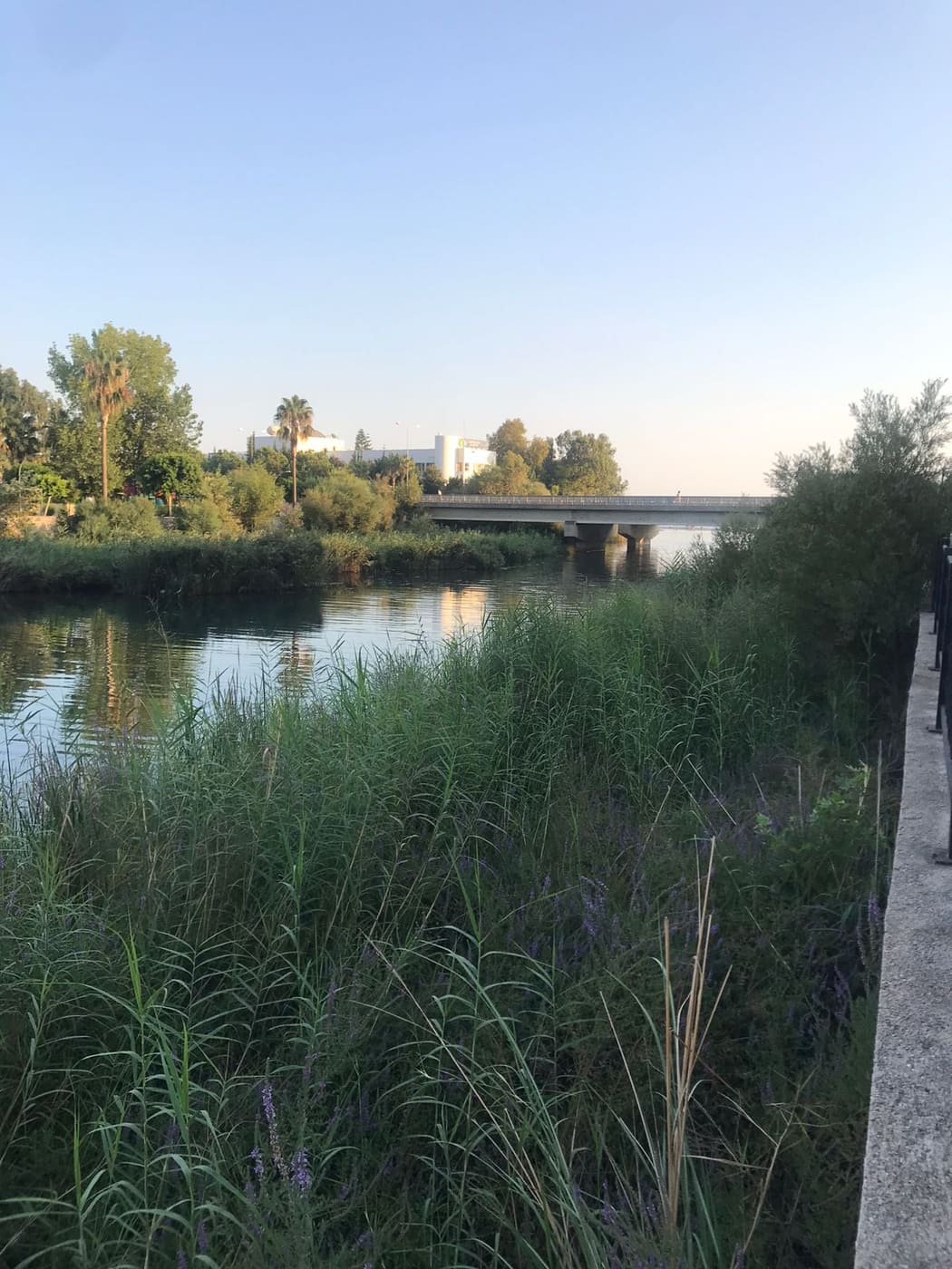 dimçayı girişi 2 c5e86