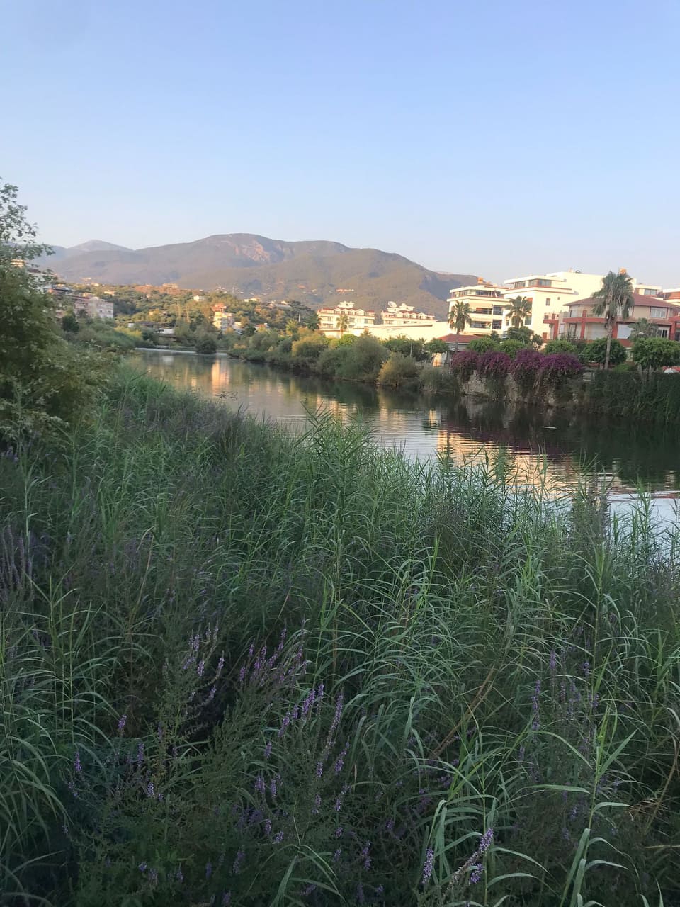 dimçayı girişi 3 d5964