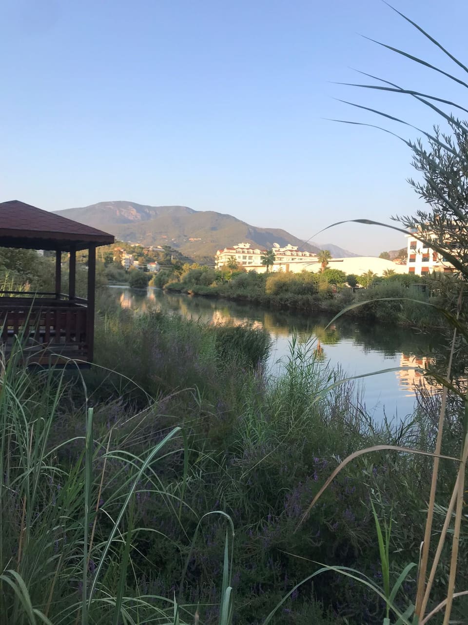 dimçayı girişi 4 536b3