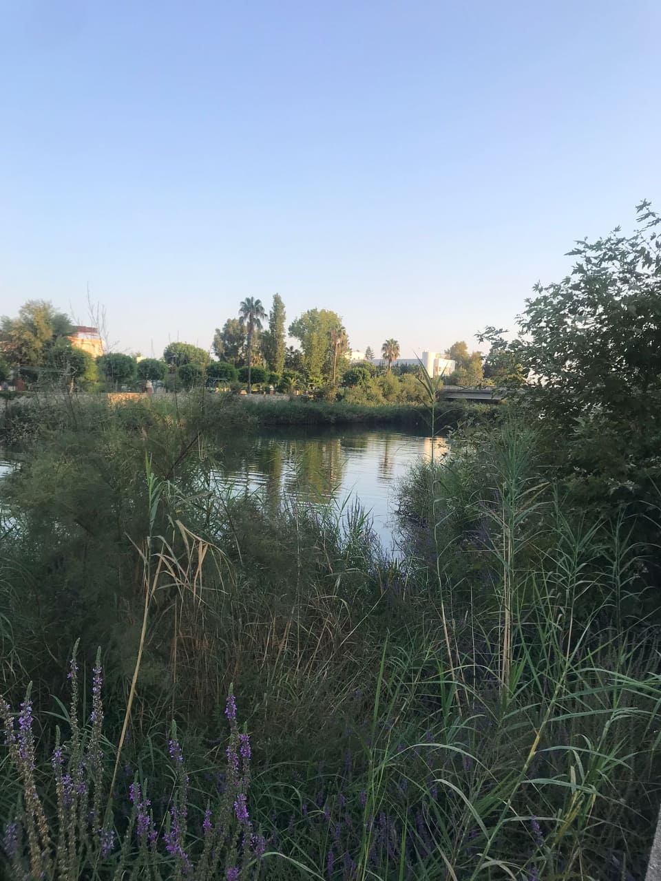 dimçayı girişi 5 b64da