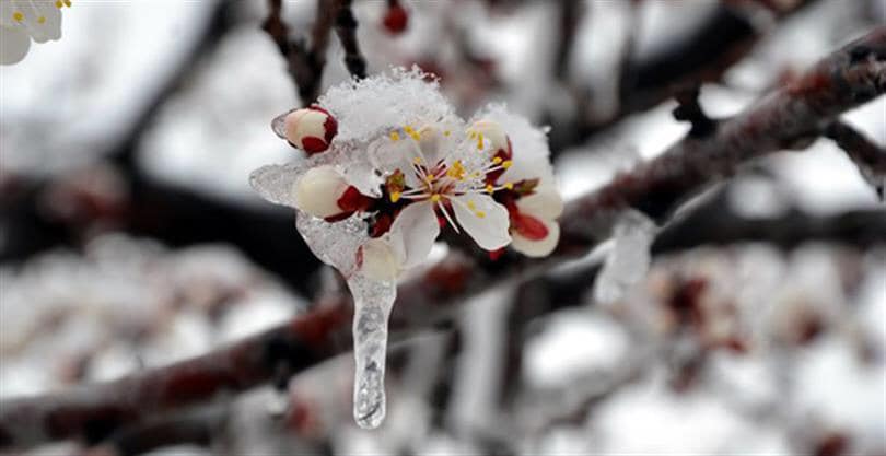 don uyarısı 2 84589417 3467604573281161 8399336308614365184 n 3e972