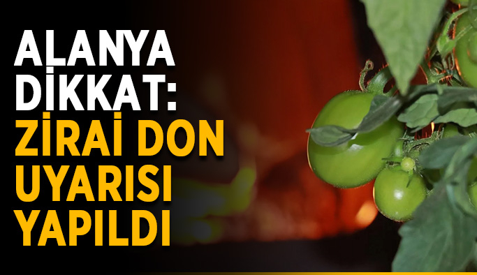 don uyarısı.2 f91c9