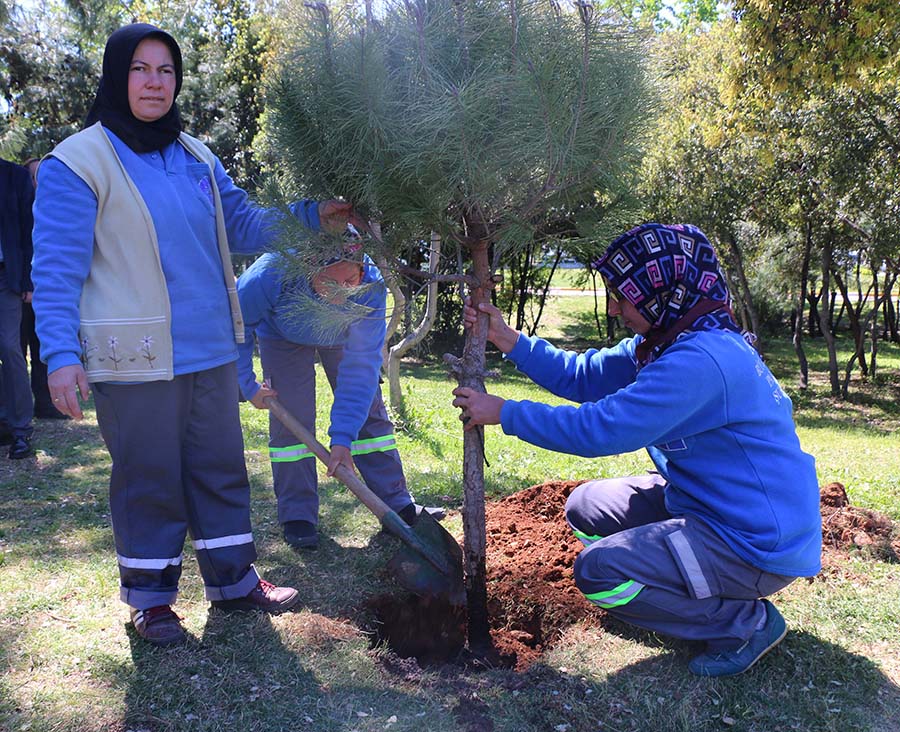 dünya günü ağaç dikimi 8 38ab9