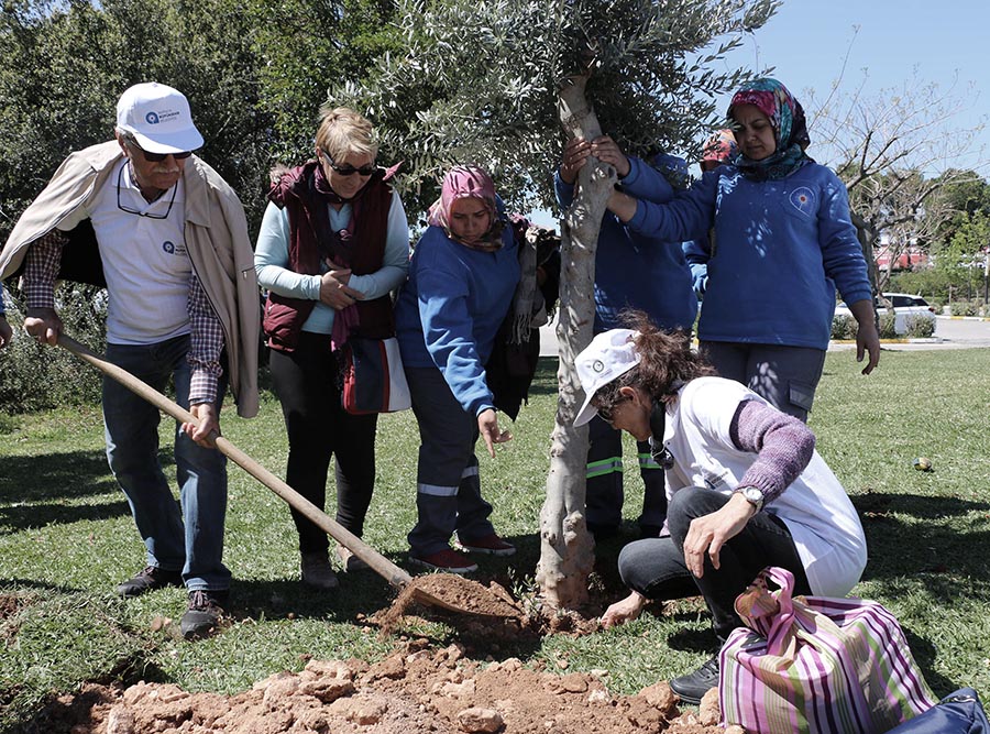 dünya günü ağaç dikimi 8 38ab9