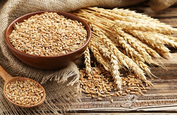 dünyada gıda krizi 2 9a052