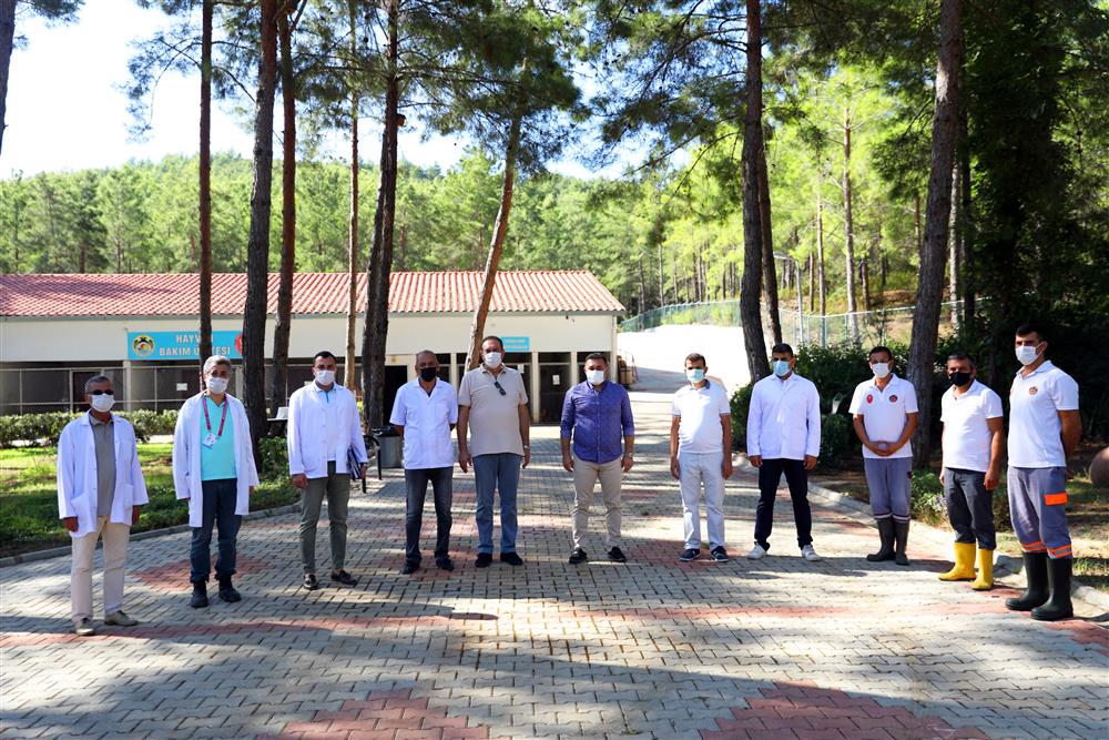 ekim köpek 3 23775398102589848 2154b