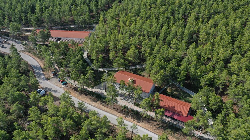 ekim köpek binalar497951936269598848 b1952