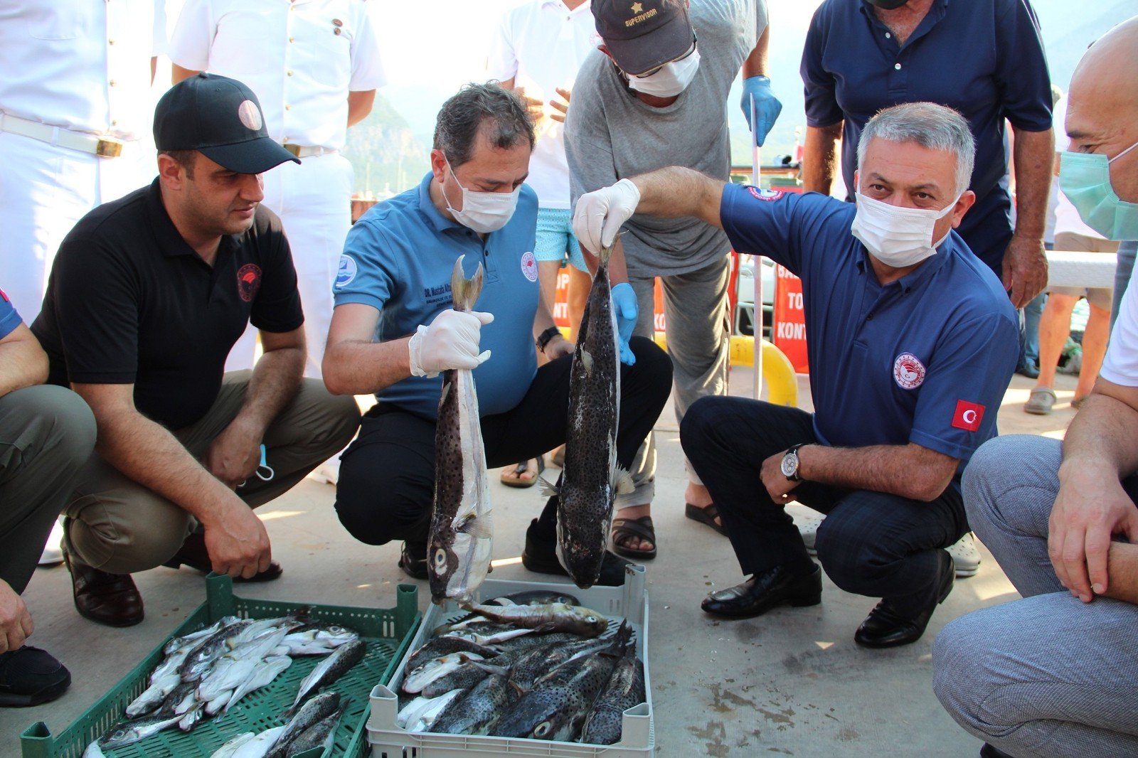 ersin yazıcı ve balon balığı df647