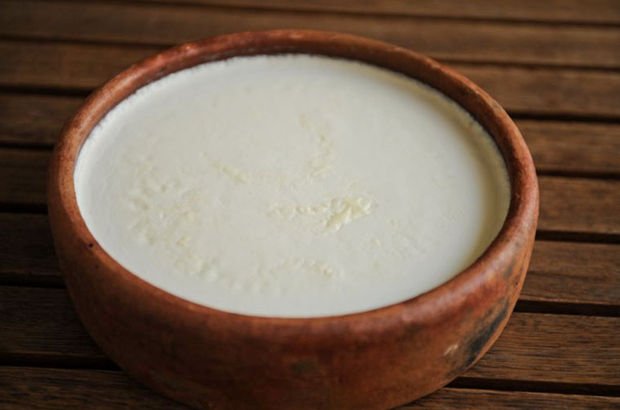 ev yoğurdu2091529 620x410 8d9b2