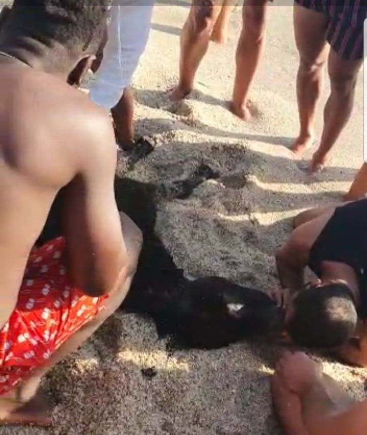 eşek.jpg 4jpg 8d32c