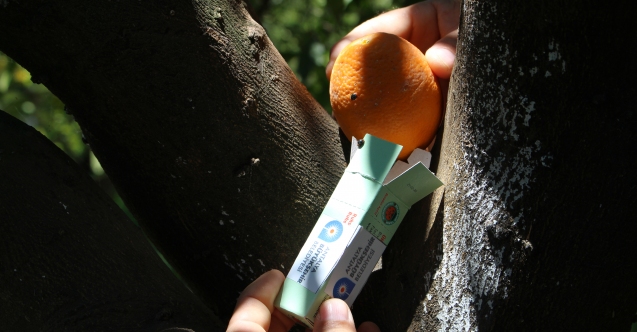 faydalı böcek 3jpg 06de9