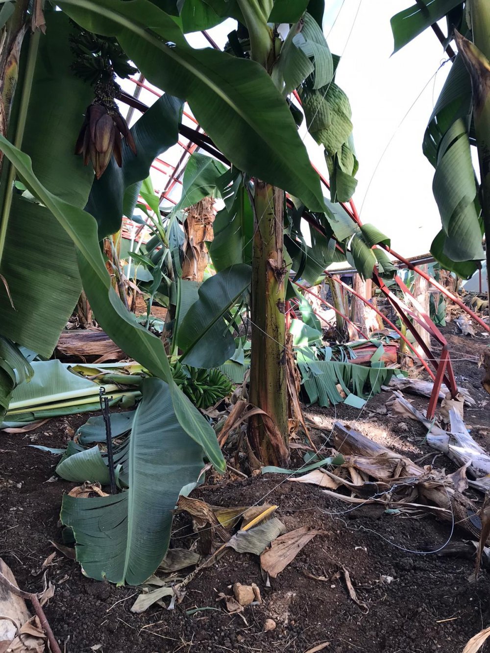 fırtına 24 ocak 4 ac927ef3 fe5f 4ee8 9102 b0eba4f5a378 513ef