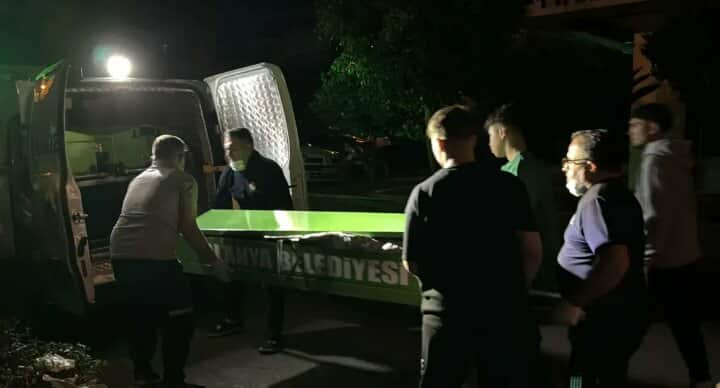 gazi 2 550690088 1345143626997990 7547679714241764487 n c52f6